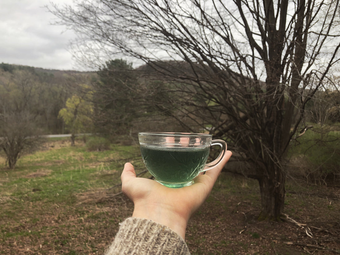 Burdock Decoction