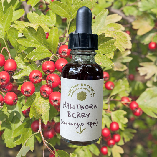 Hawthorn Berry tincture